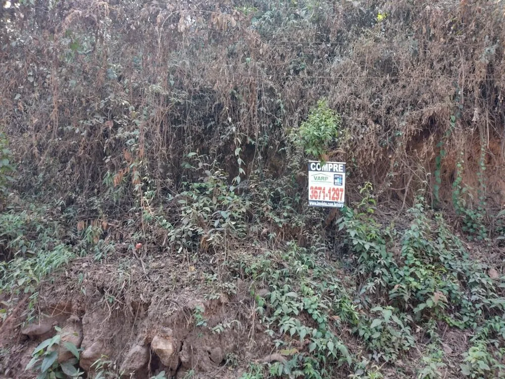 Terreno, 3200 m² - Foto 6