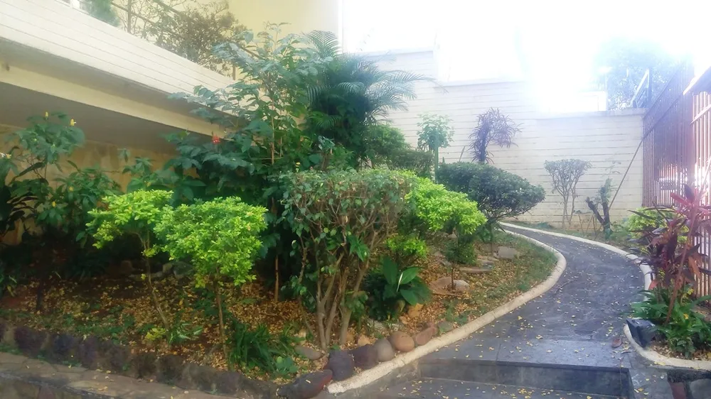 Loja-Salão, 234 m² - Foto 7