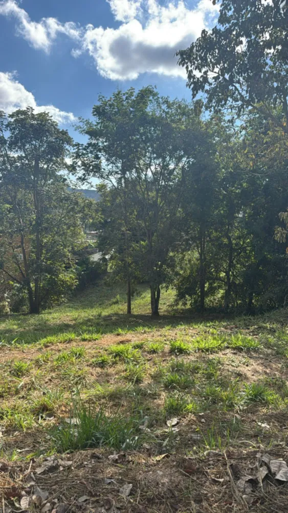 Terreno, 1030 m² - Foto 3
