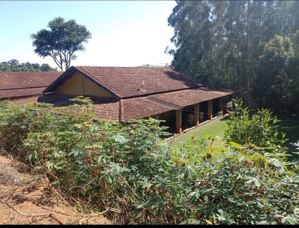 Fazenda, 4114 hectares - Foto 2