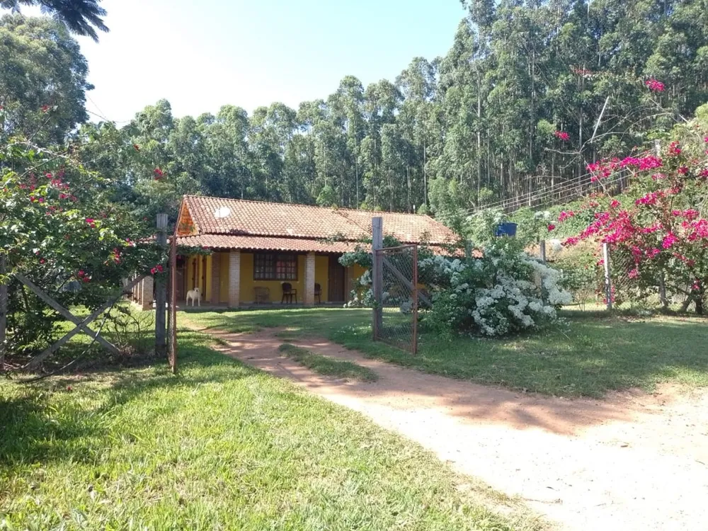 Fazenda, 4114 hectares - Foto 4