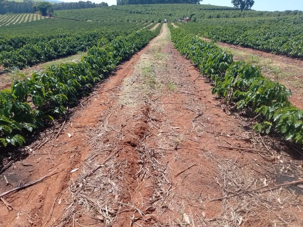 Fazenda, 4114 hectares - Foto 7