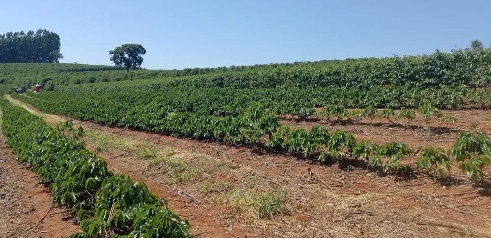 Fazenda, 4114 hectares - Foto 3