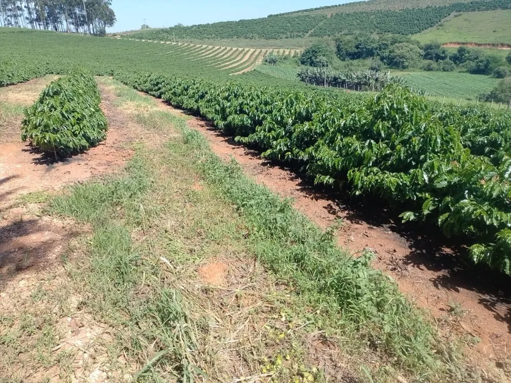 Sítio, 1 quarto, 4114 hectares - Foto 4