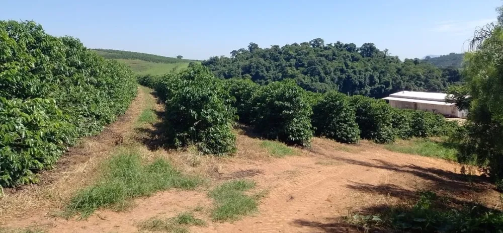 Sítio, 1 quarto, 4114 hectares - Foto 12