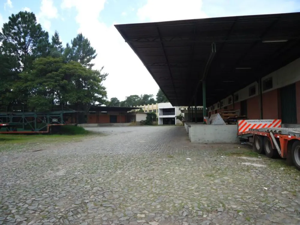 Terreno, 8 hectares - Foto 6