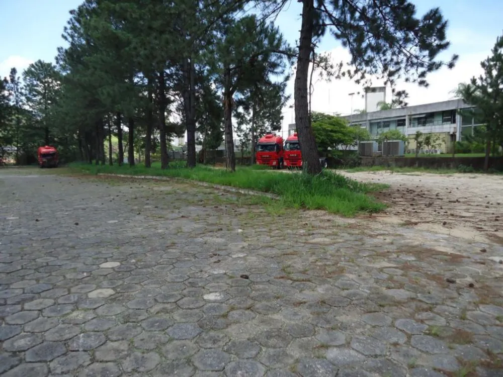 Terreno, 8 hectares - Foto 5
