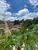 Terreno, 360 m² - Foto 2