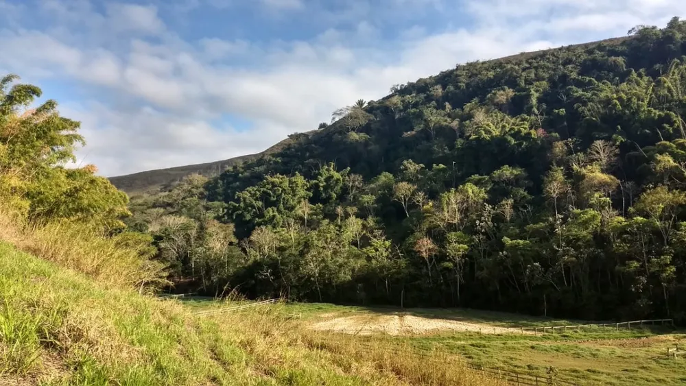 Chácara, 1 quarto, 385 hectares - Foto 9