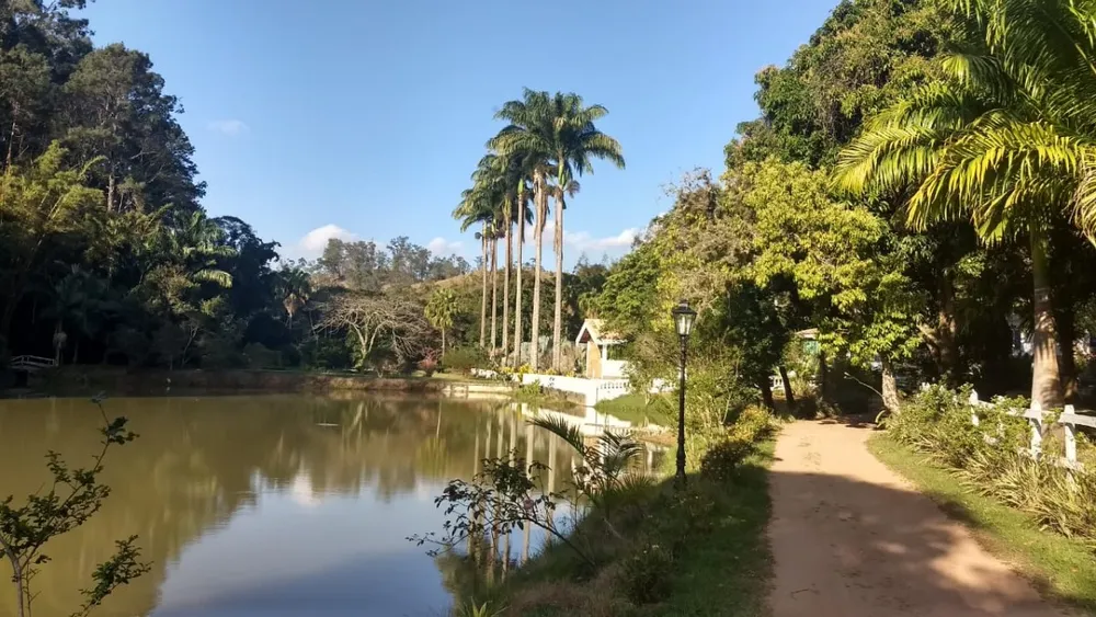 Chácara, 1 quarto, 385 hectares - Foto 11