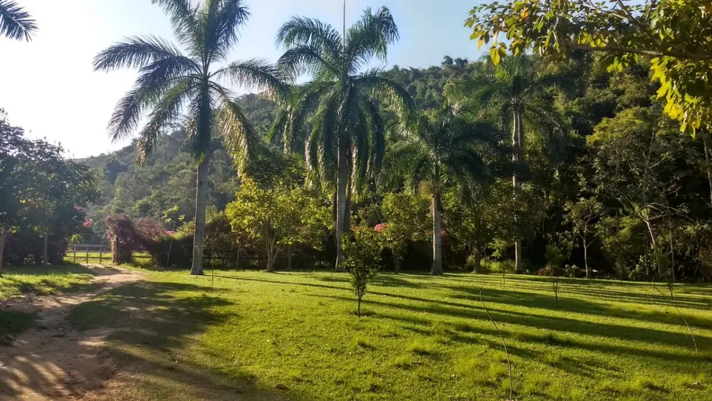 Chácara, 1 quarto, 385 hectares - Foto 1