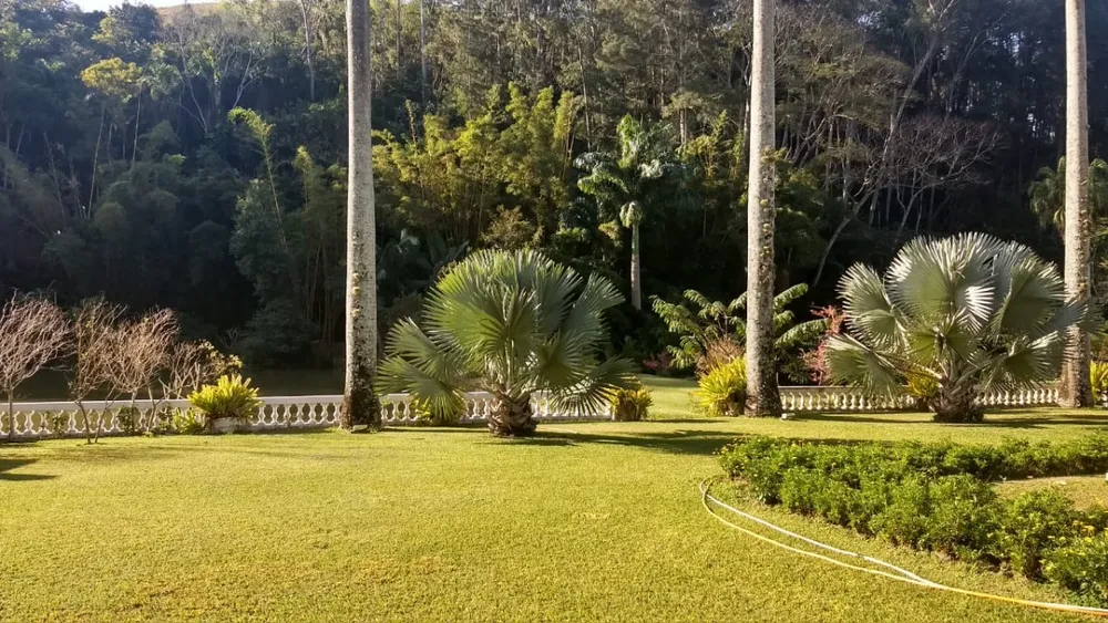 Chácara, 1 quarto, 385 hectares - Foto 3