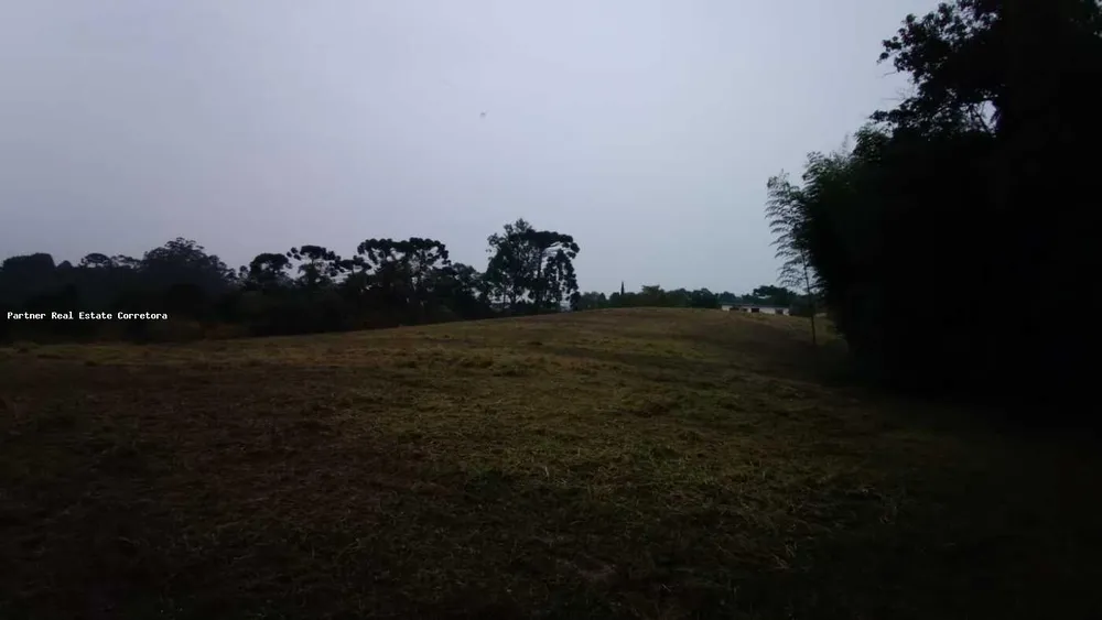 Terreno, 49500 m² - Foto 4
