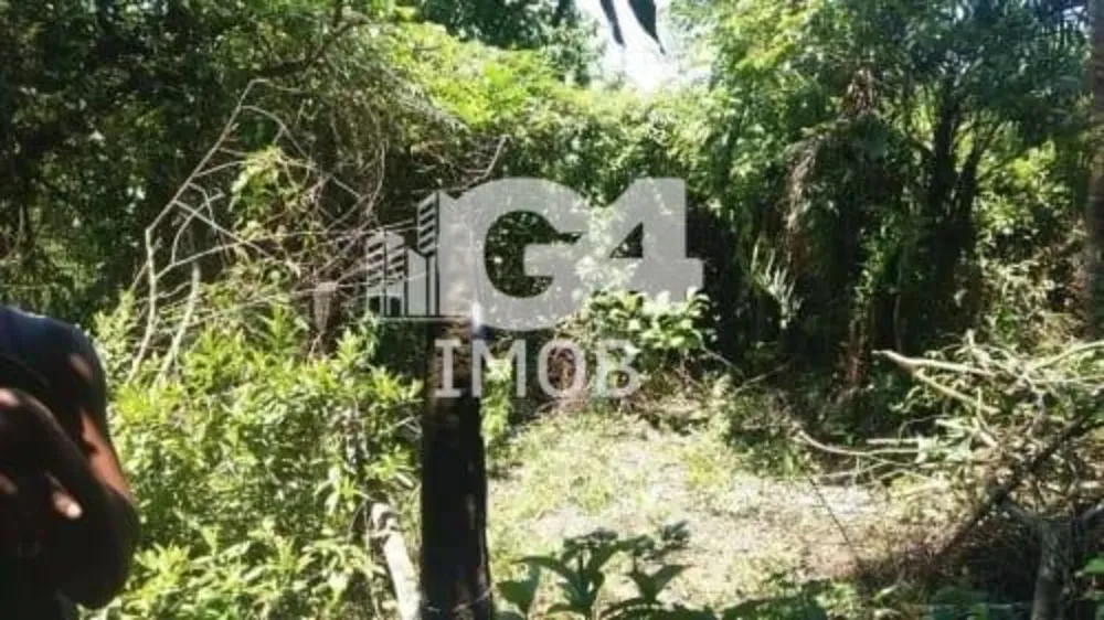 Terreno, 2900 m² - Foto 1