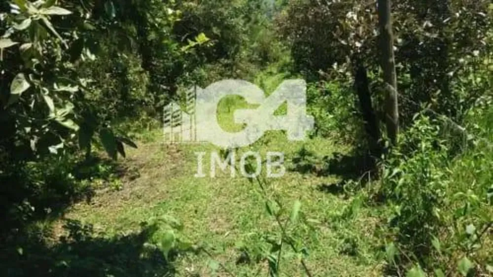 Terreno, 2900 m² - Foto 6