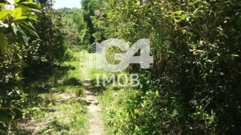 Terreno, 2900 m² - Foto 8
