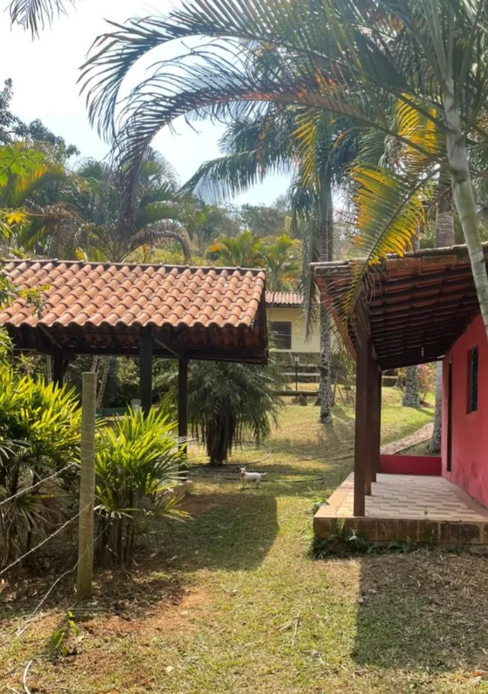 Chácara, 4 quartos, 4 hectares - Foto 8