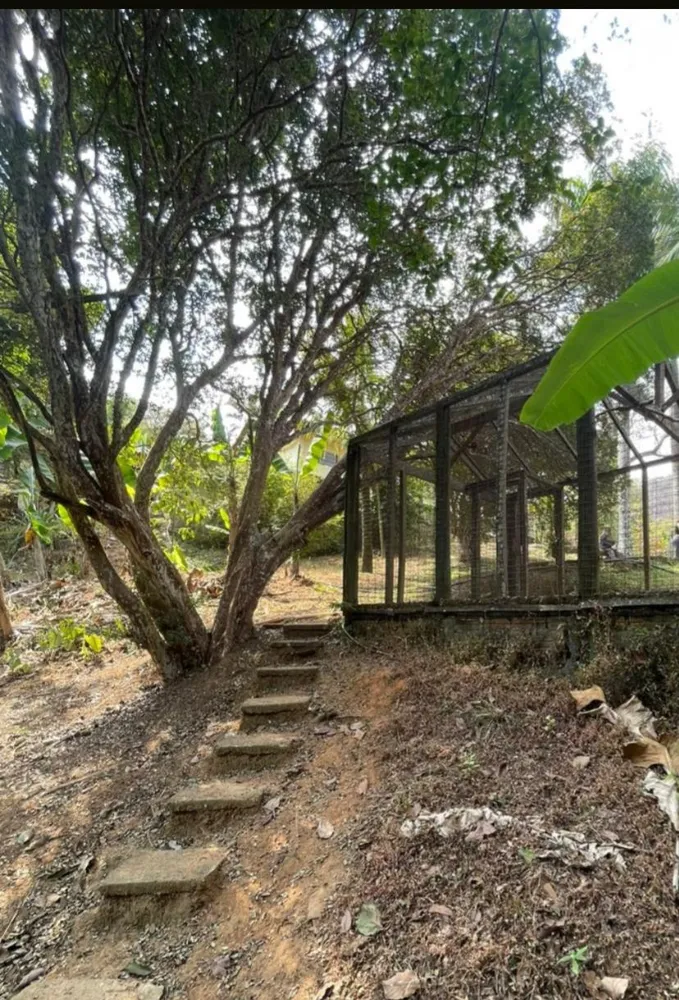 Chácara, 4 quartos, 4 hectares - Foto 13