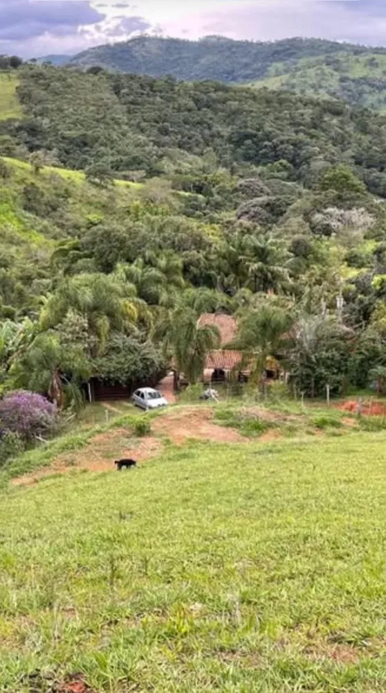 Chácara, 4 quartos, 4 hectares - Foto 17