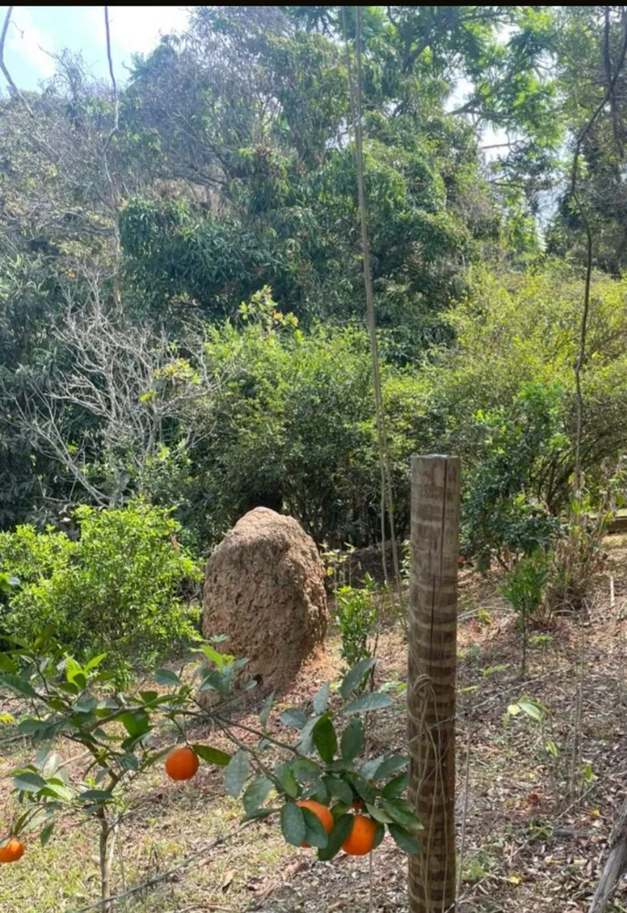 Chácara, 4 quartos, 4 hectares - Foto 15