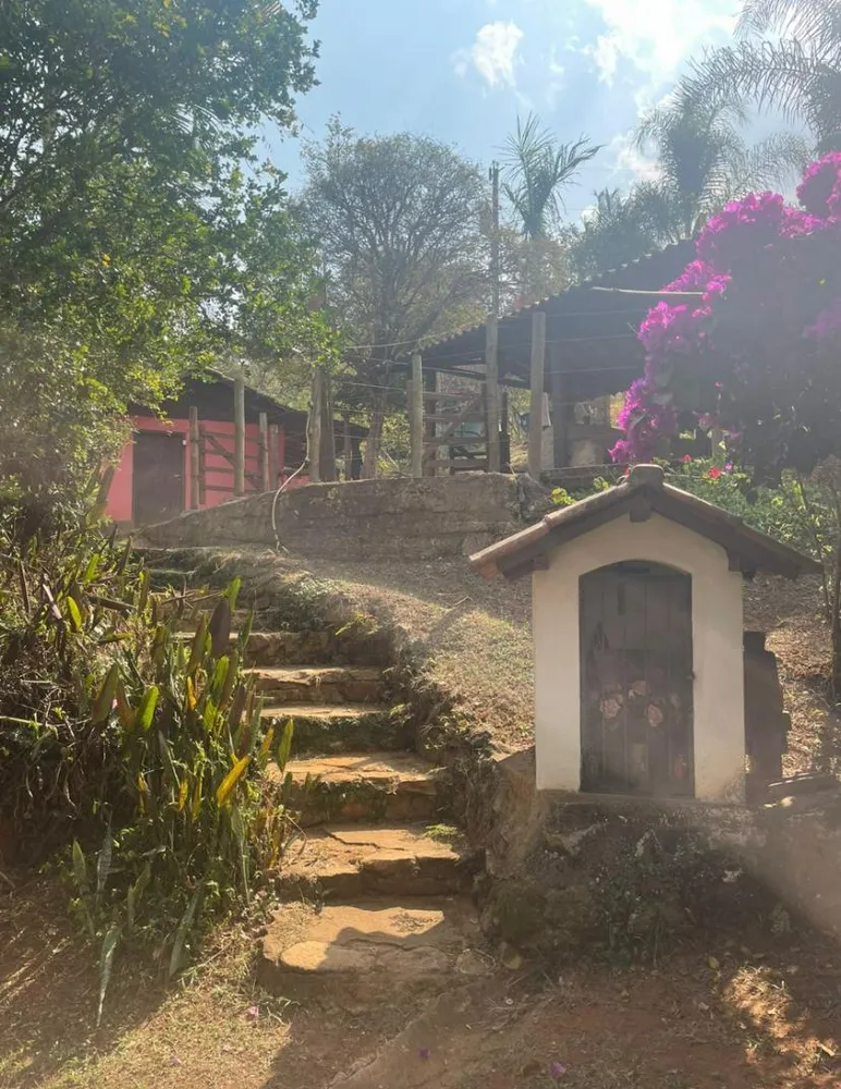 Chácara, 4 quartos, 4 hectares - Foto 6