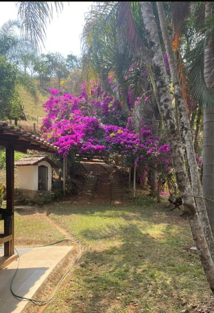 Chácara, 4 quartos, 4 hectares - Foto 2