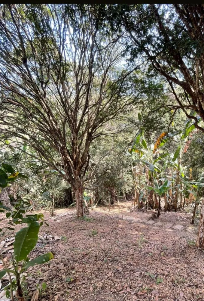 Chácara, 4 quartos, 4 hectares - Foto 16