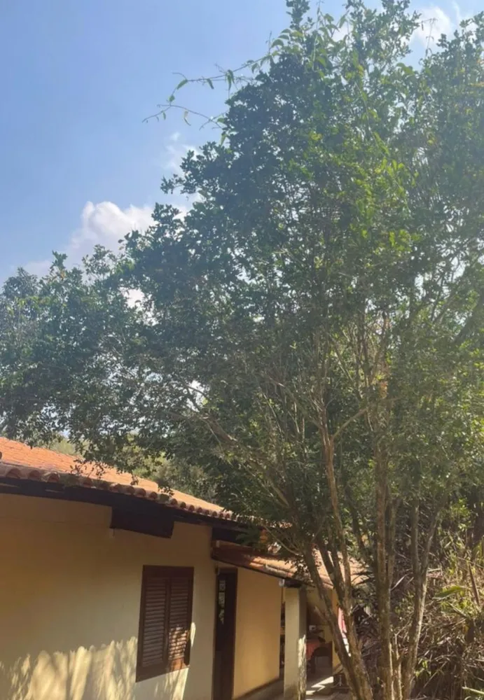 Chácara, 4 quartos, 4 hectares - Foto 4