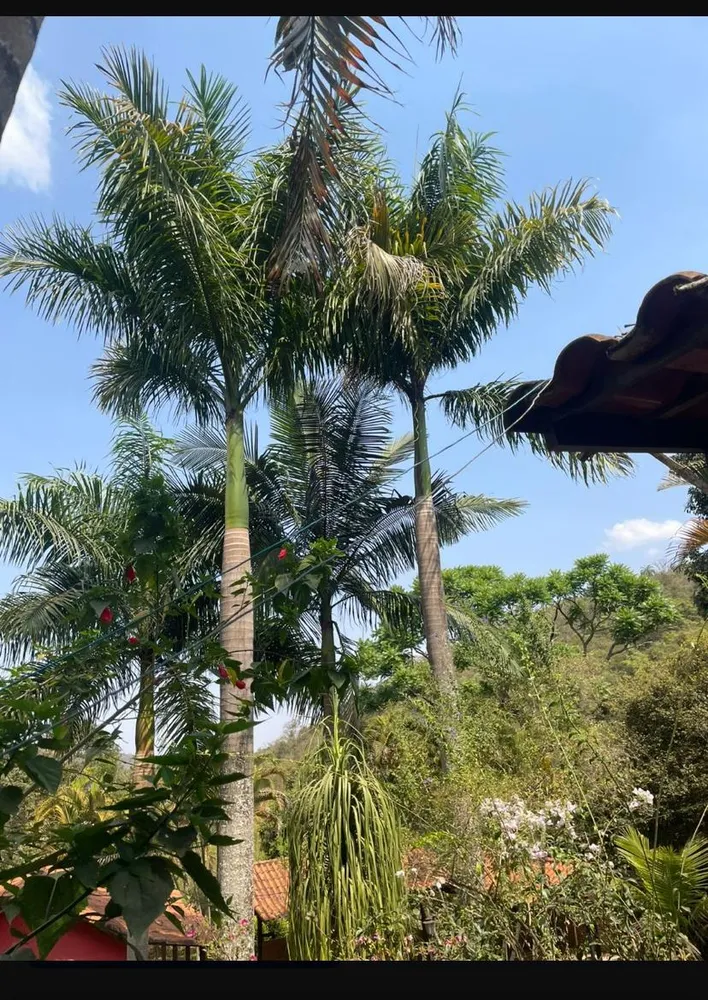 Chácara, 4 quartos, 4 hectares - Foto 18