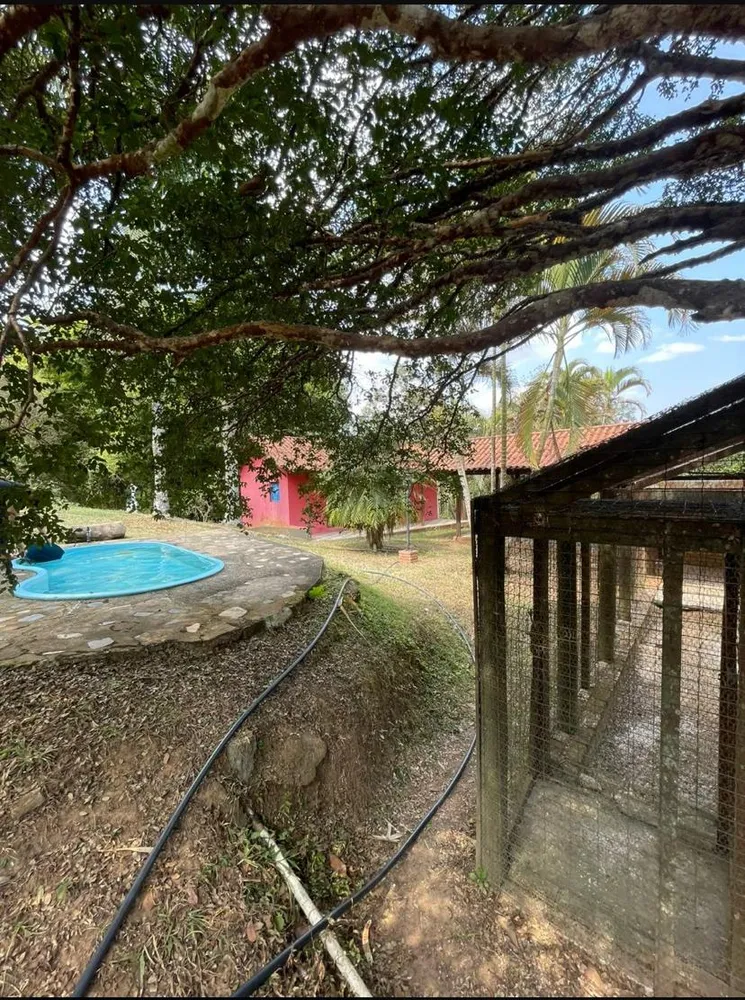 Chácara, 4 quartos, 4 hectares - Foto 11