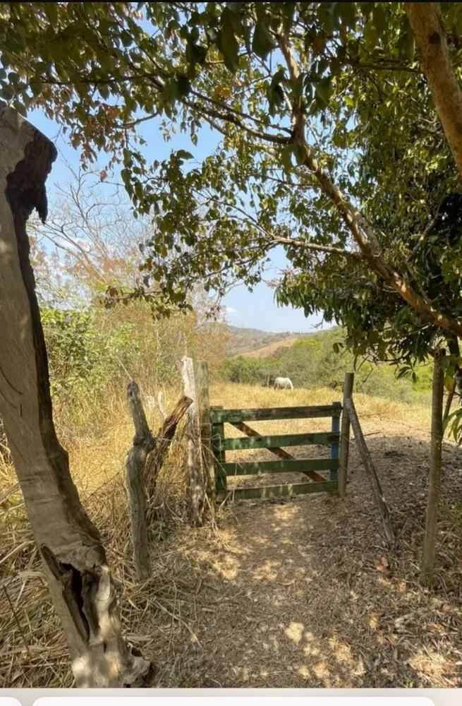 Chácara, 4 quartos, 4 hectares - Foto 14