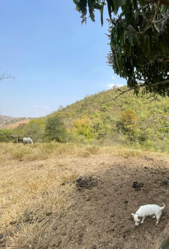 Sítio, 4 quartos, 4 hectares - Foto 17