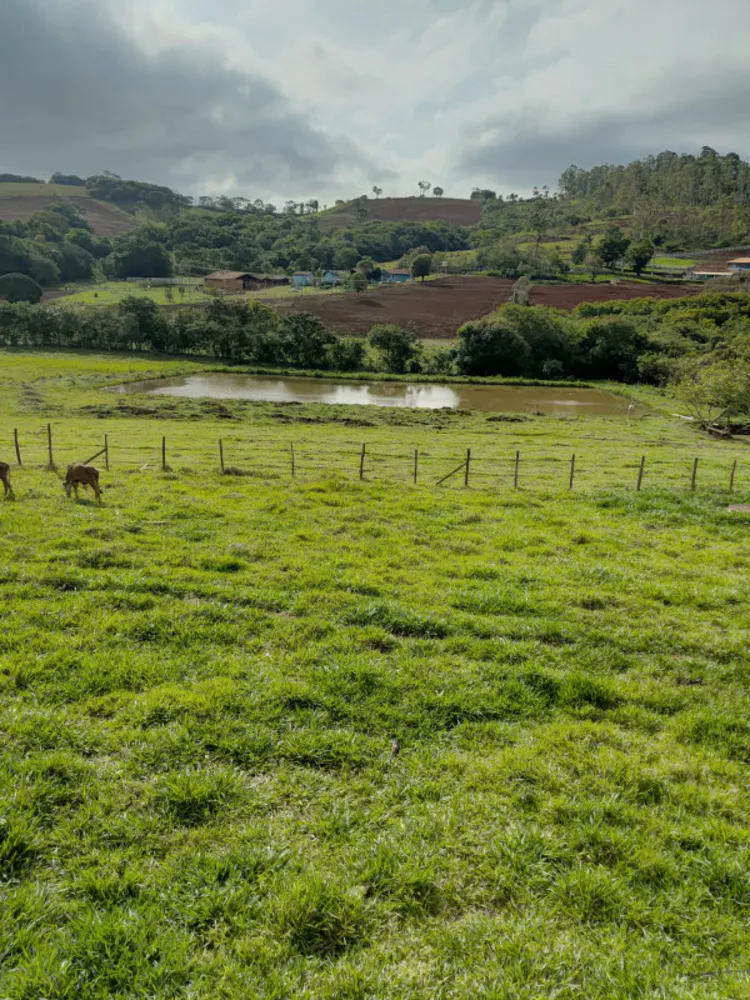 Chácara, 4 quartos, 4 hectares - Foto 11