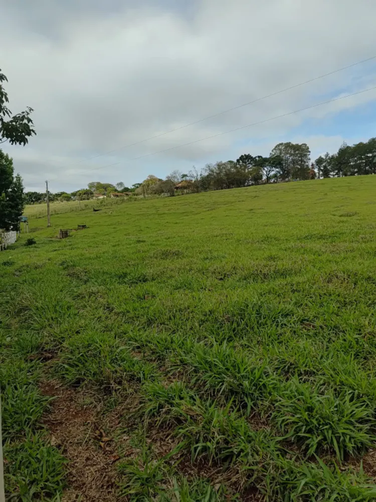 Chácara, 4 quartos, 4 hectares - Foto 6