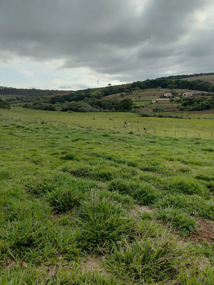 Chácara, 4 quartos, 4 hectares - Foto 10
