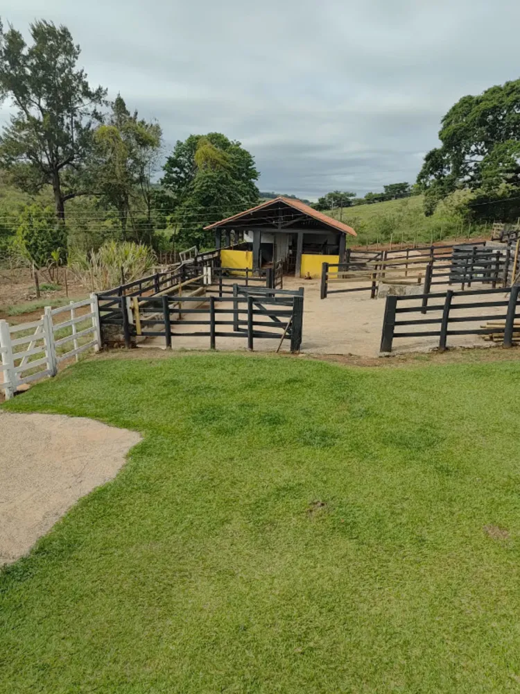Chácara, 4 quartos, 4 hectares - Foto 2