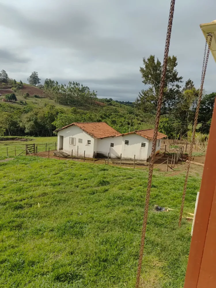 Chácara, 4 quartos, 4 hectares - Foto 9