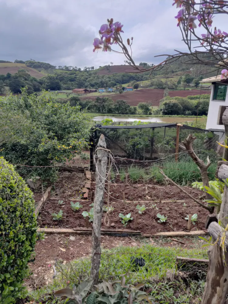 Chácara, 4 quartos, 4 hectares - Foto 12