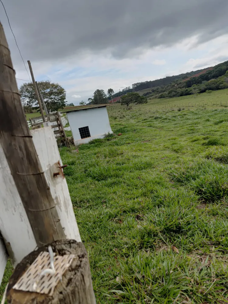 Chácara, 4 quartos, 4 hectares - Foto 8
