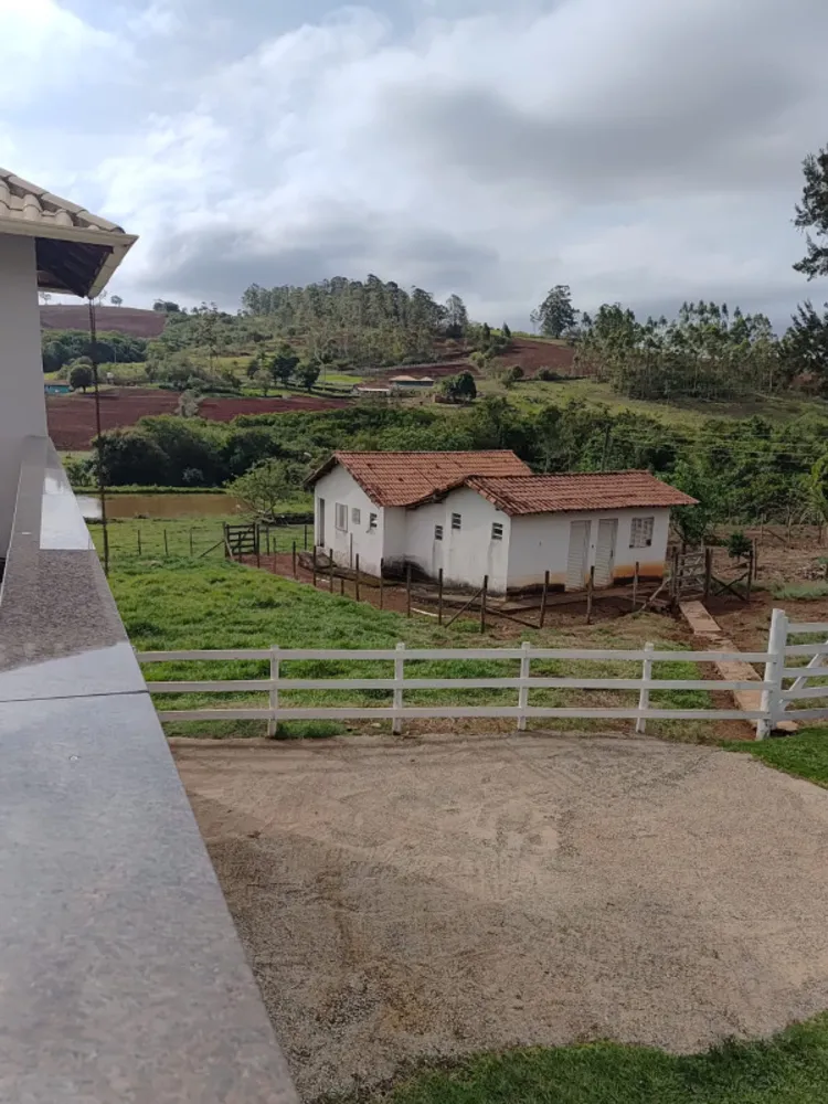 Chácara, 4 quartos, 4 hectares - Foto 3
