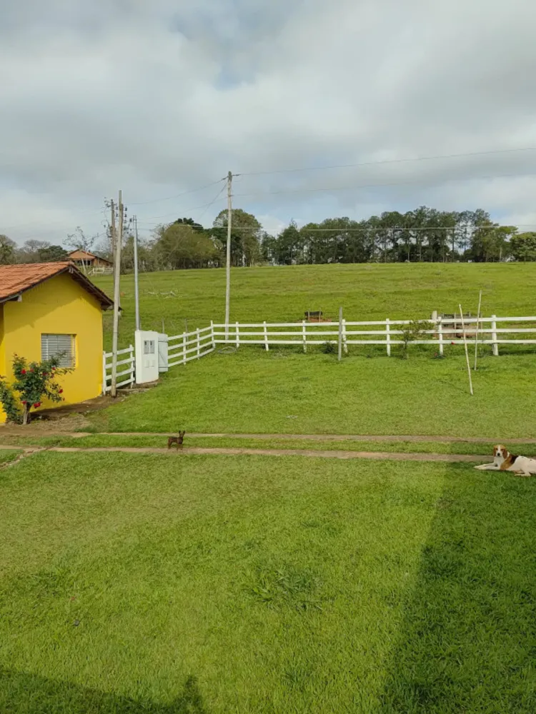 Sítio, 4 quartos, 4 hectares - Foto 3