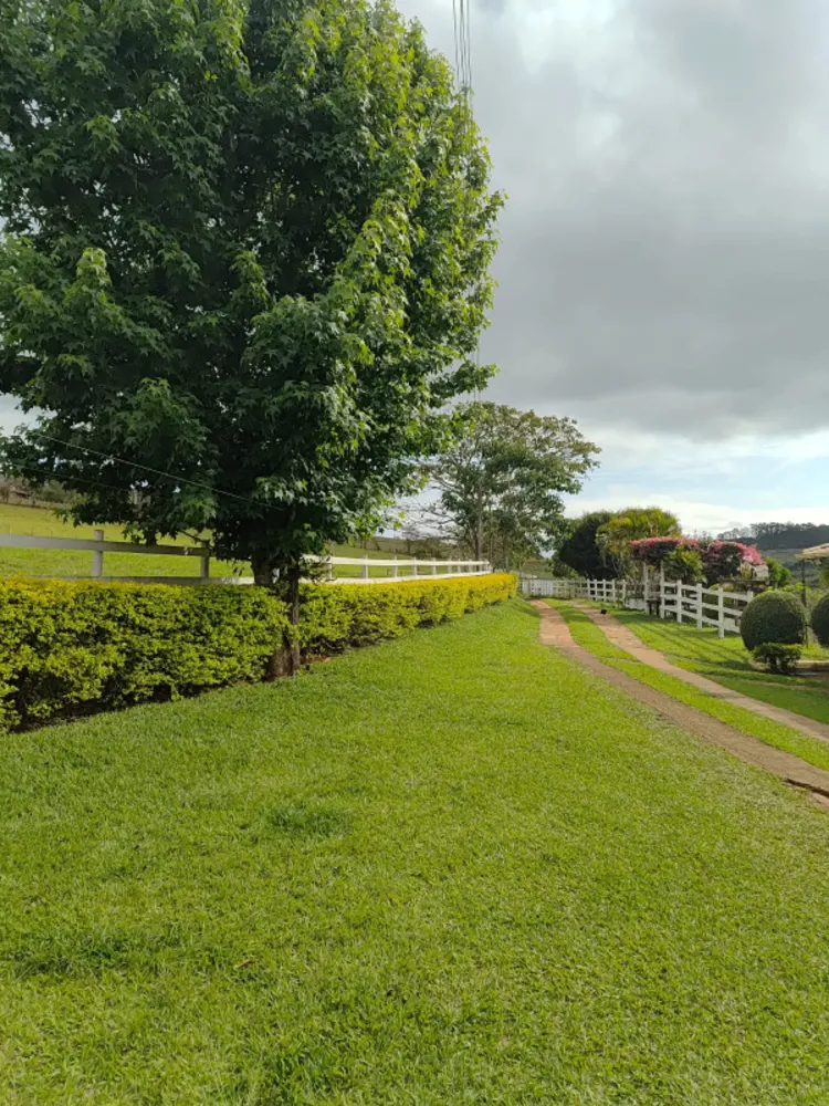 Sítio, 4 quartos, 4 hectares - Foto 13