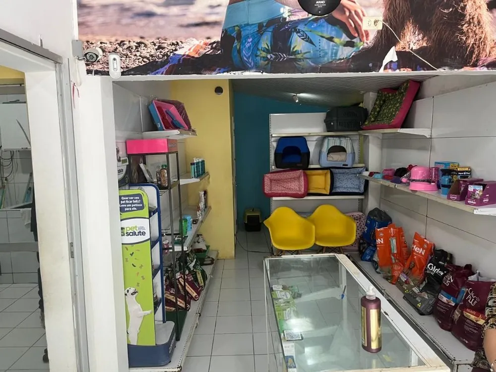 Casa, 1 quarto, 390 m² - Foto 12