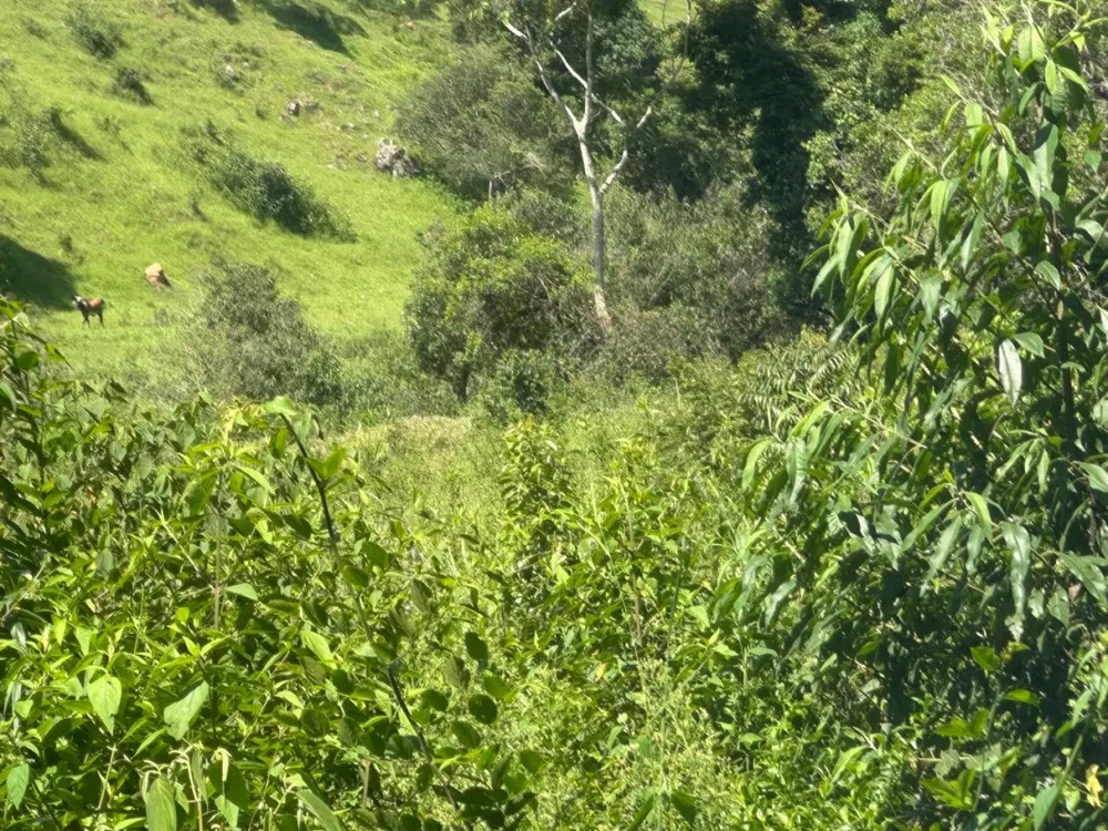 Fazenda, 1 quarto - Foto 6