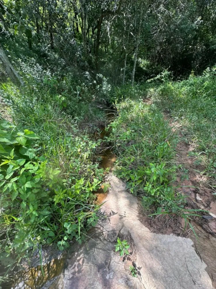 Fazenda, 1 quarto - Foto 7
