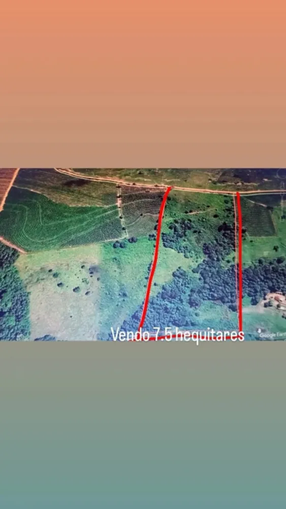 Fazenda, 1 quarto - Foto 8