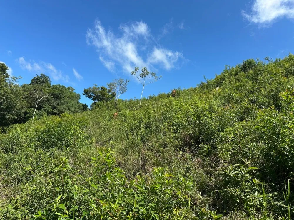 Fazenda, 1 quarto - Foto 11