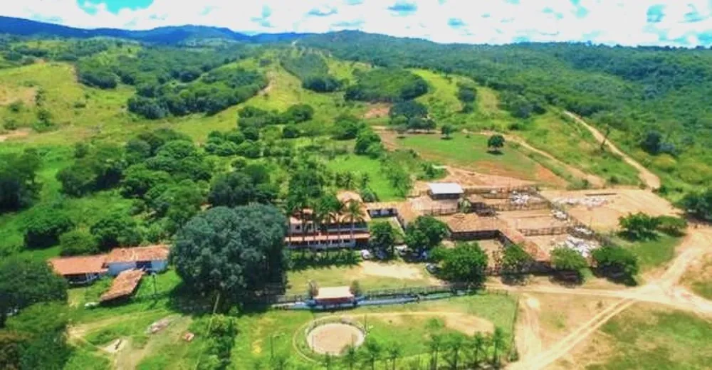 Fazenda, 1033 hectares - Foto 3