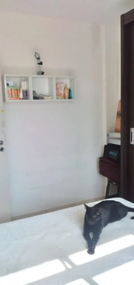 Apartamento, 2 quartos, 48 m² - Foto 4