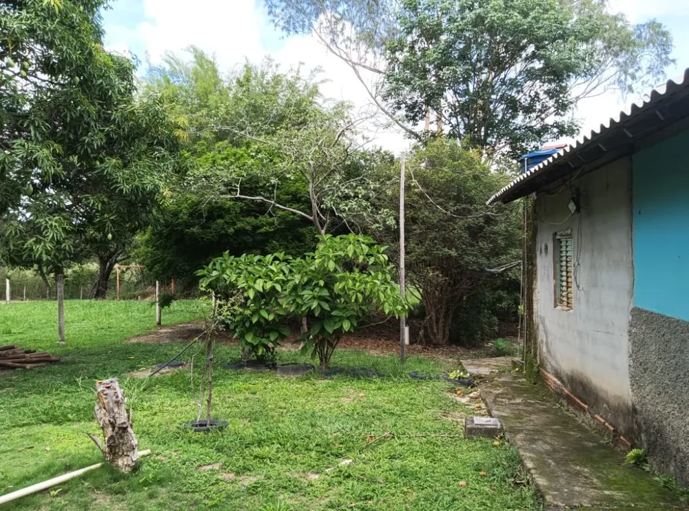 Sítio, 3 quartos, 3000 m² - Foto 12